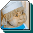 Bath-house attendant